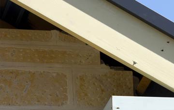 soffit repair Tanhouse