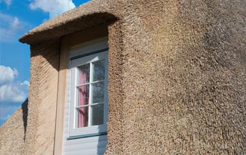 Tanhouse thatch roof disadvantages